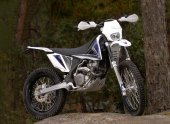 2008 Scorpa T-Ride 250F photo